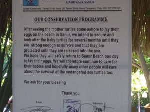 The turtle conservation sign