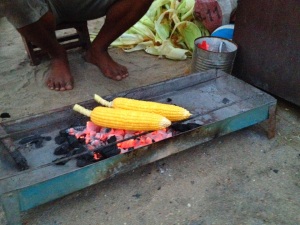 Our corn being cooked